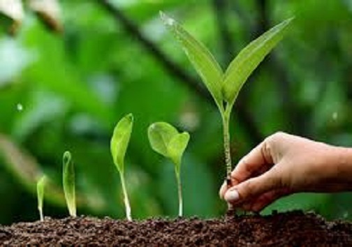 کهگیلویه وبویراحمد پایلوت فروشگاه سبز