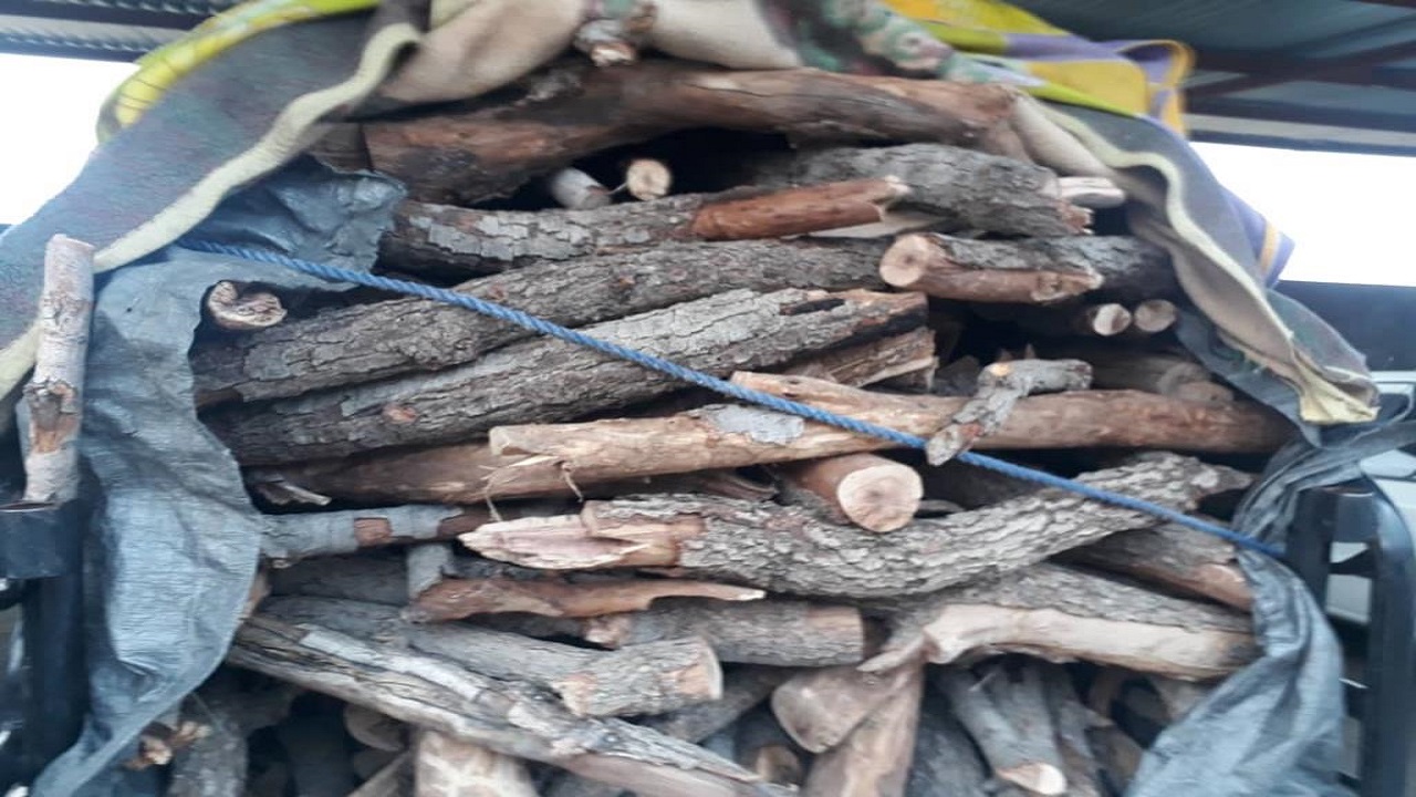 کشف ۲ تن چوب قاچاق در نظرآباد