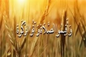 آسیب‌دیدگان از کرونا در اولویت هزینه کرد زکات