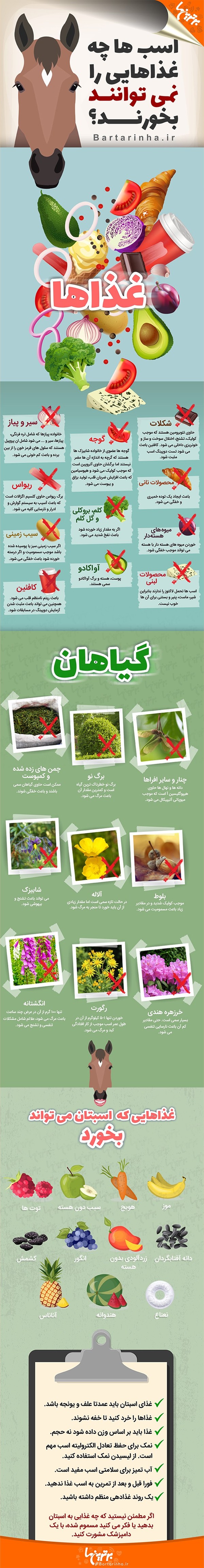 اسب&zwnj;ها چه غذا&zwnj;هایی را نمی&zwnj;توانند بخورند؟ + اینفوگرافیک