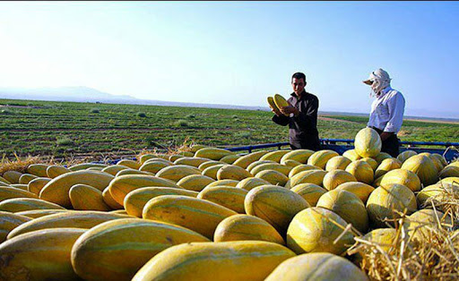 سفری مجازی به مهد تصوف ایران