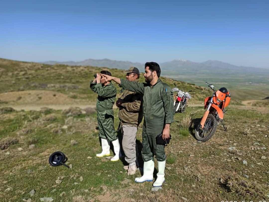 نبود بیماری تب برفکی برای حیوانات حیات وحش شهرستان اسدآباد