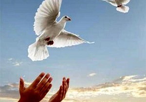 ۳۵۰ زندانی جرائم غیرعمد چشم انتظار کمک خیرین