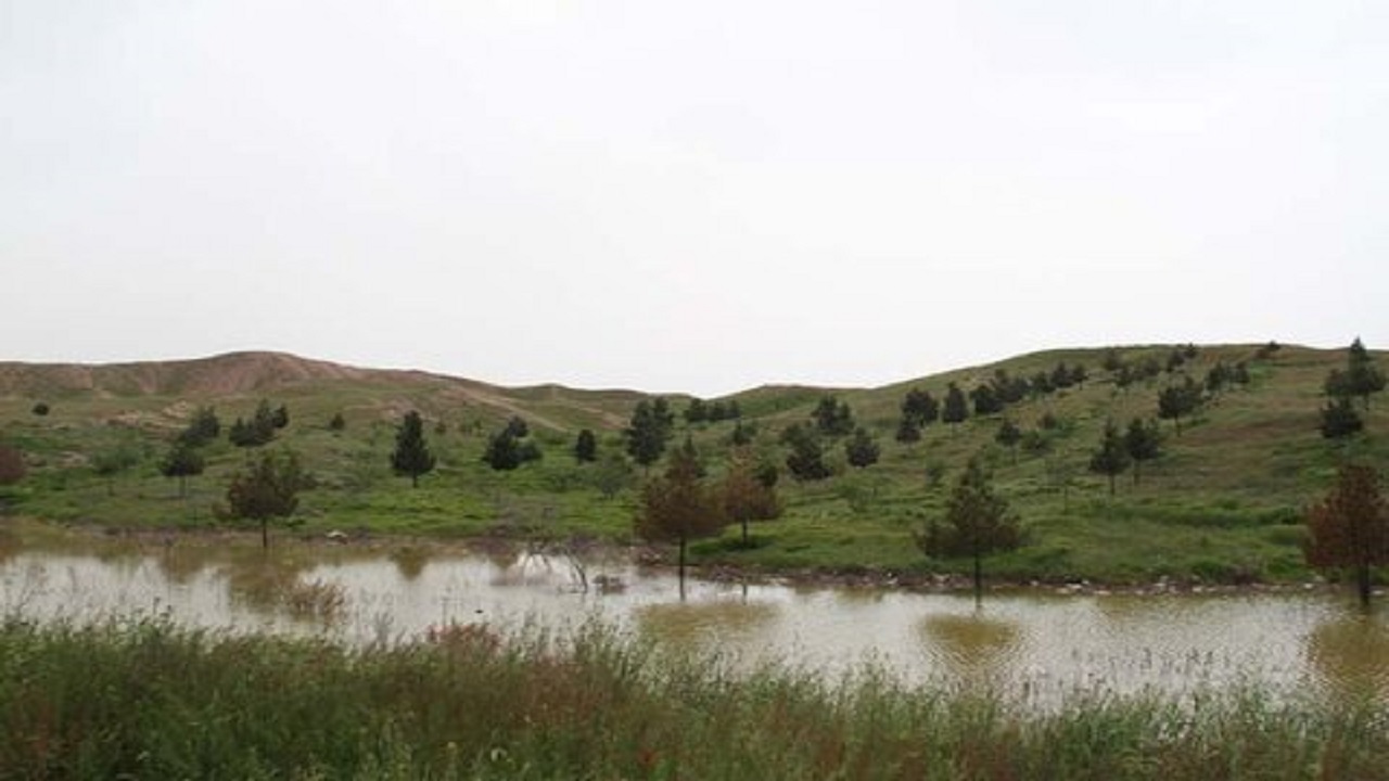 درختکاری ۲۴ هکتار از اراضی مرکز حلقه دره