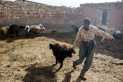 معجزه‌گری دستان رفوگر