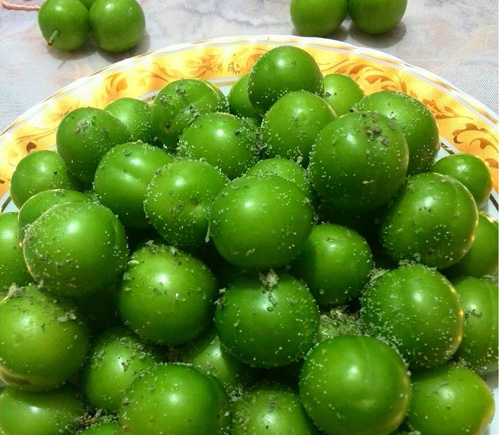 آموزش آشپزی؛ از بقچه گوشتی و سوپ جوانه گندم تا رول بادمجان سوخاری خوشمزه و مجلسی + تصاویر