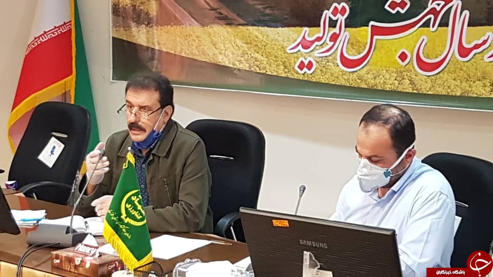 تولید ۸۰۰ تن کلزای بذری و ۱۳۰ تن بذر کنجد در خوزستان