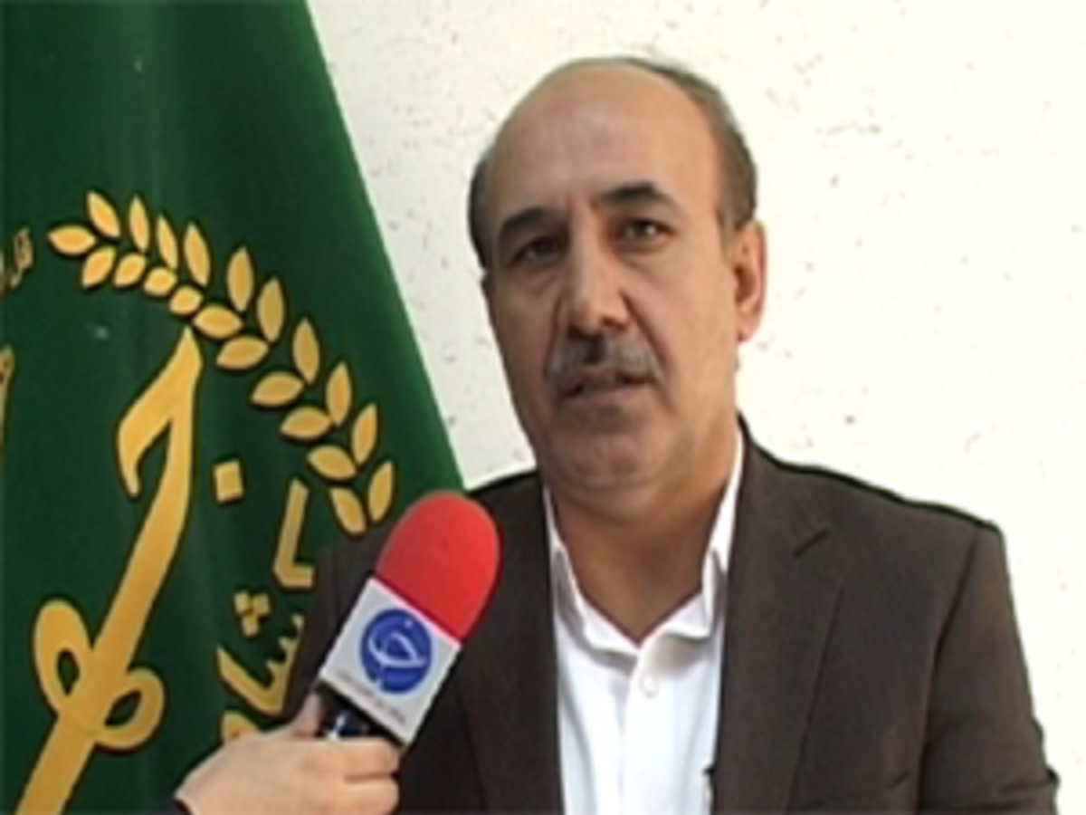 تولید ۴۵۰ هزار تن گندم در لرستان پیش‌بینی می شود
