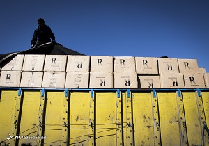۱۵ میلیارد ریال کالا قاچاق در شهرستان باوی کشف شد