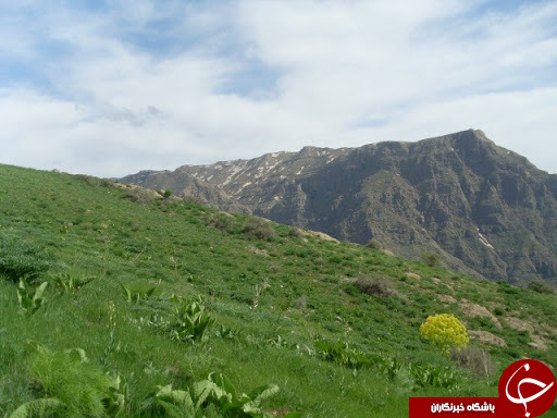 ایام بهار و خان نعمت بهارانه در کرمان