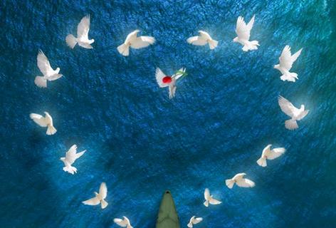 #محافظان_دریا ؛ ادای احترام کاربران به شهدای ناوچه کنارک