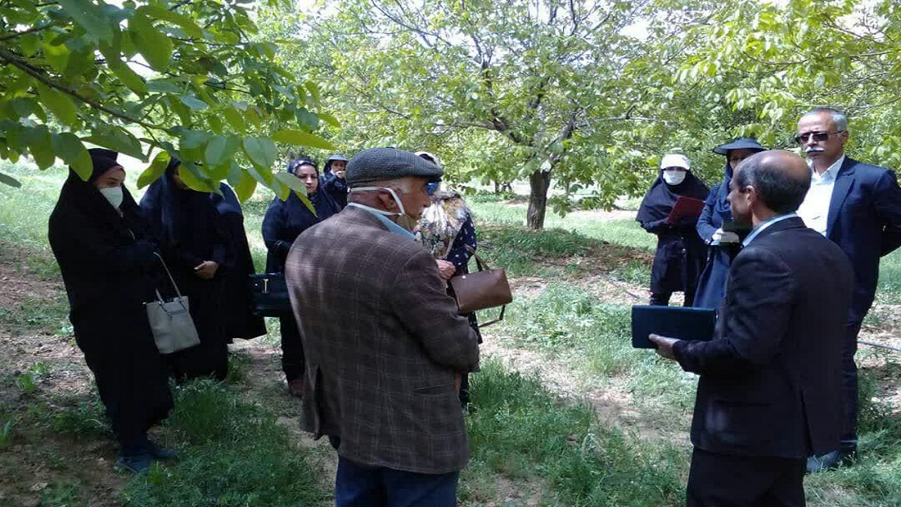 برگزاری سایت الگویی محصول سالم ویژه زنان روستایی