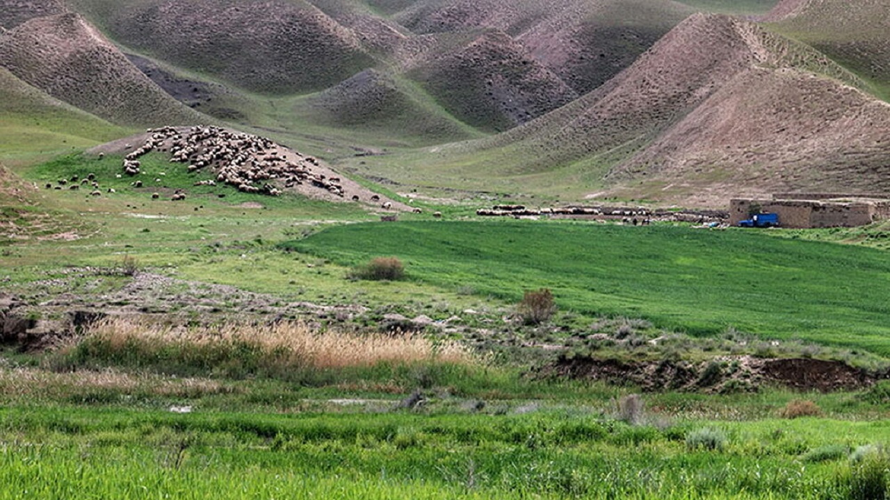 تنسیق مراتع در اراضی چهارمحال و بختیاری