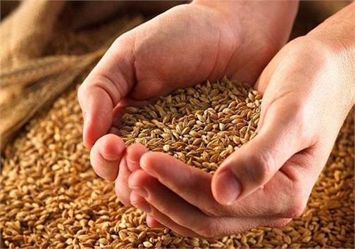 پرداخت حدود ۷ میلیارد تومان زکات توسط خیران مهابادی