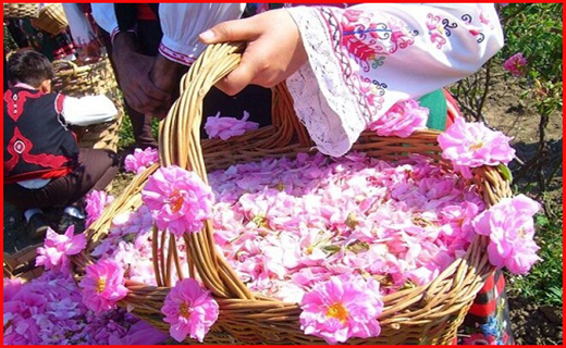 جذابترین