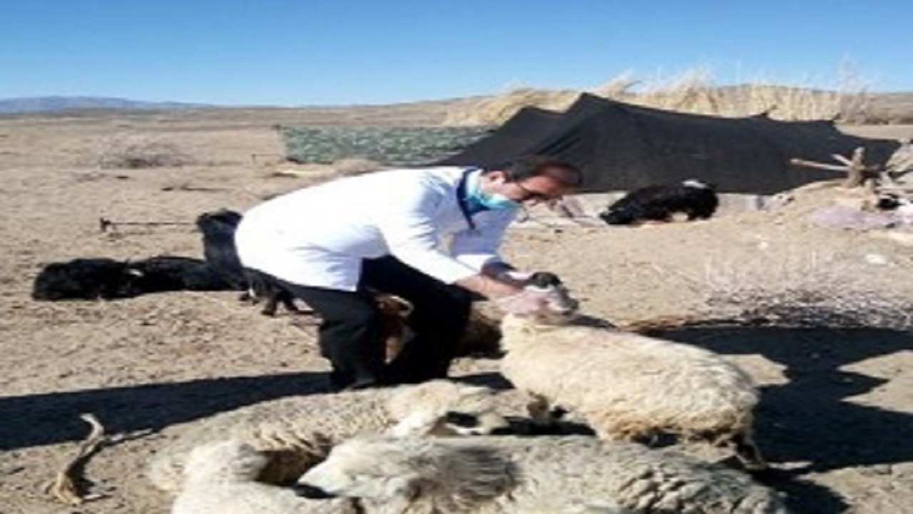 انجام به موقع آزمایش روی دام‌ها به تشخیص بیماری کمک می‌کند