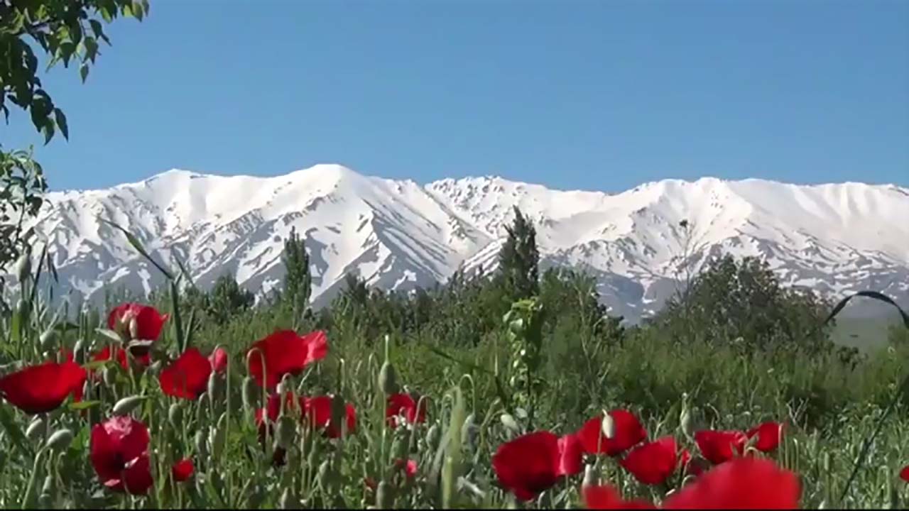 از فیلمی از ضدعفونی کردن بین&zwnj;الحرمین تا رزمایش همدلی در اصفهان + فیلم و تصاویر