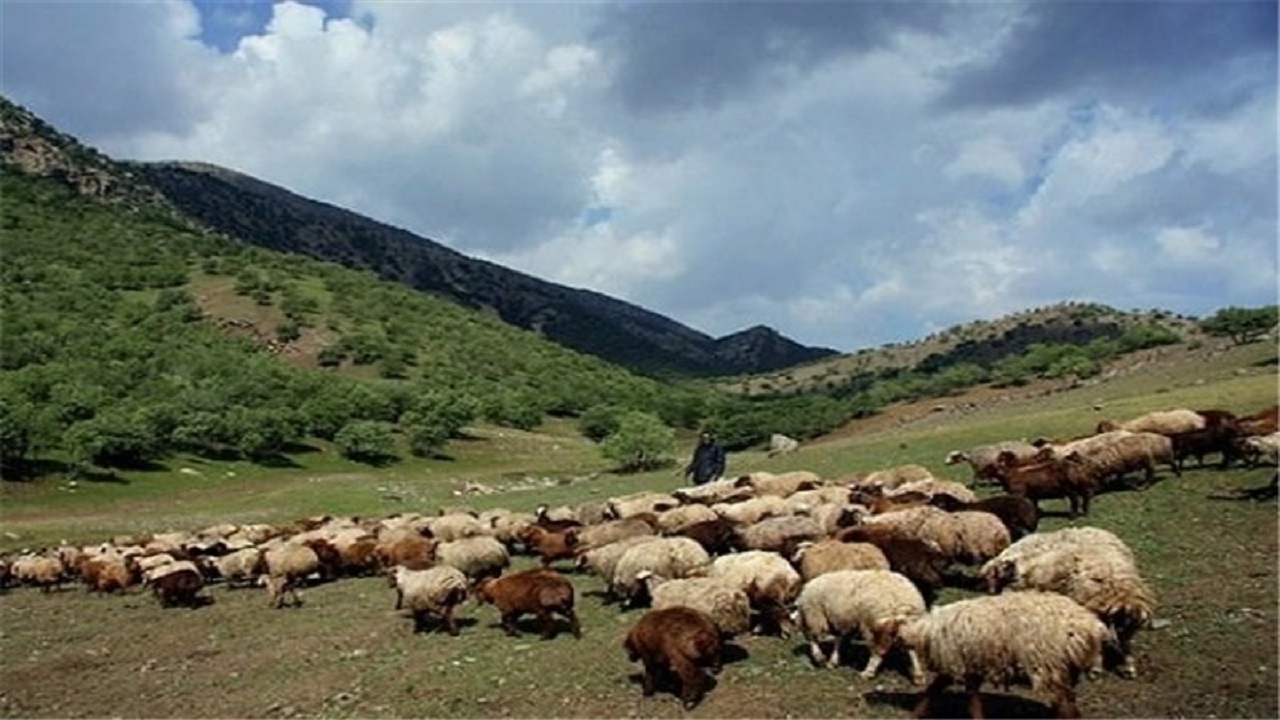 چالش جدی باج‌خواهی مرتع‌داران بالادستی از عشایر گرمسار/ ممیزی مراتع، تنها راه حل باقی مانده