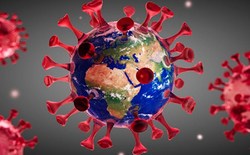 احیای دوباره قلب تا ۲۰ دقیقه پس از متوقف شدن آن + فیلم