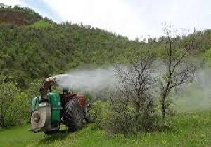 آغاز عملیات گیاه‌پزشکی در ۴۰۰ هکتار از جنگل‌های مریوان