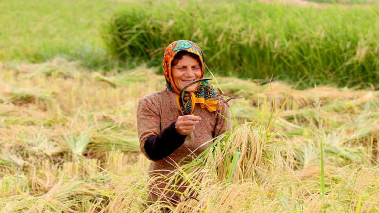 اجرای طرح‌های توانمند سازی زنان روستایی و عشایری در آذربایجان غربی