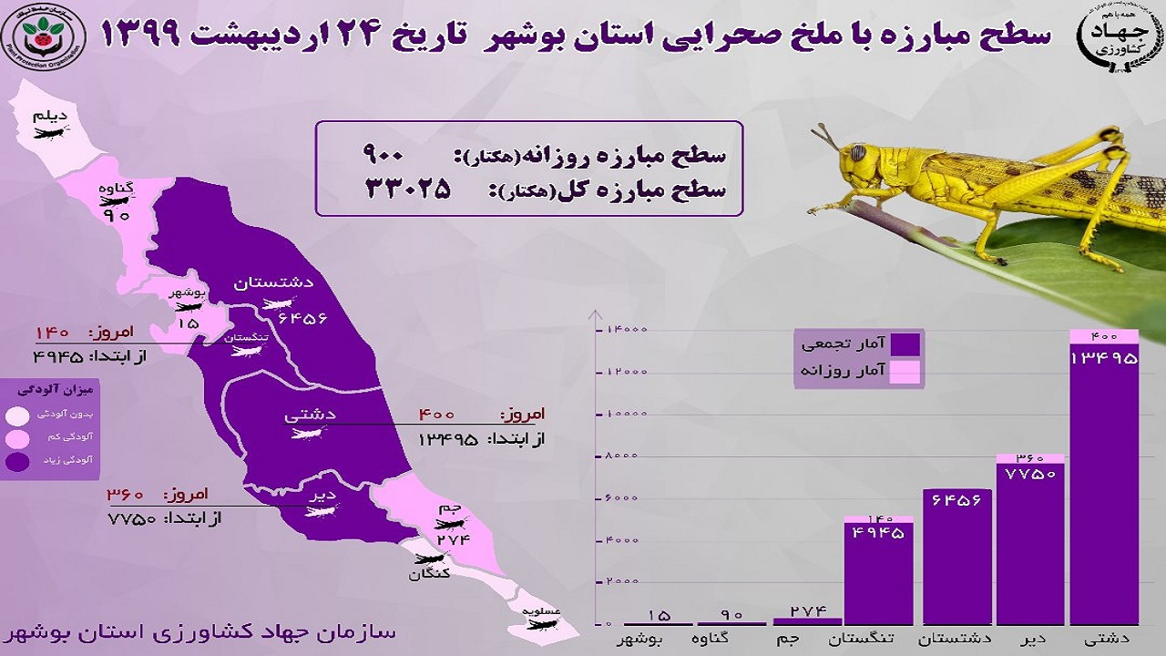 مبارزه با ملخ از ۳۳ هزار هکتار بیشتر شد
