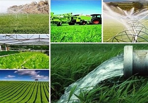 پرداخت ۸۲ میلیارد ریال تسهیلات به بخش کشاورزی شهرستان بهار