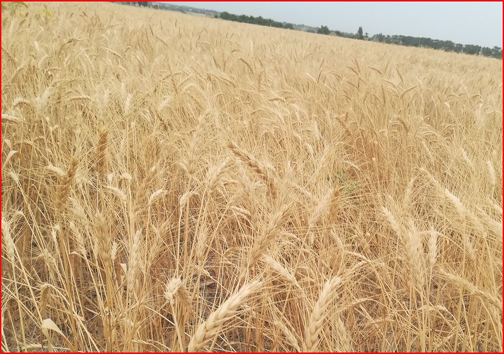 آنچه در استان ها گذشت؛
