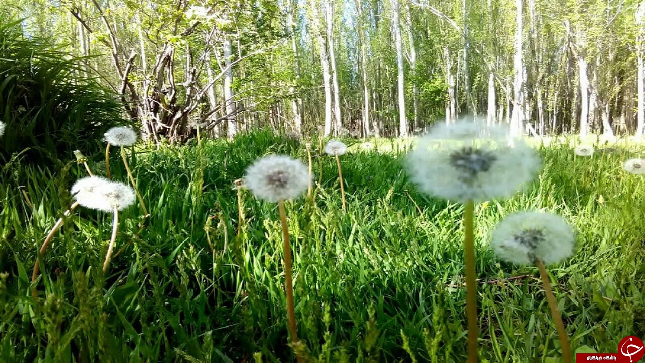 تصاویری از طبیعت زیبای بهار در روستای رودخانه رخ