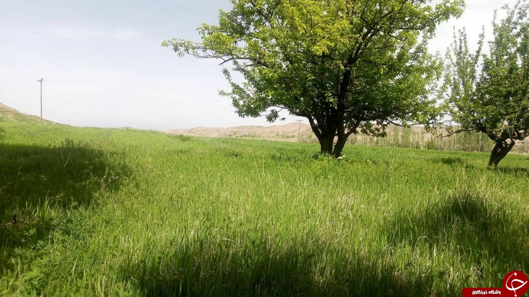 تصاویری از طبیعت زیبای بهار در روستای رودخانه رخ