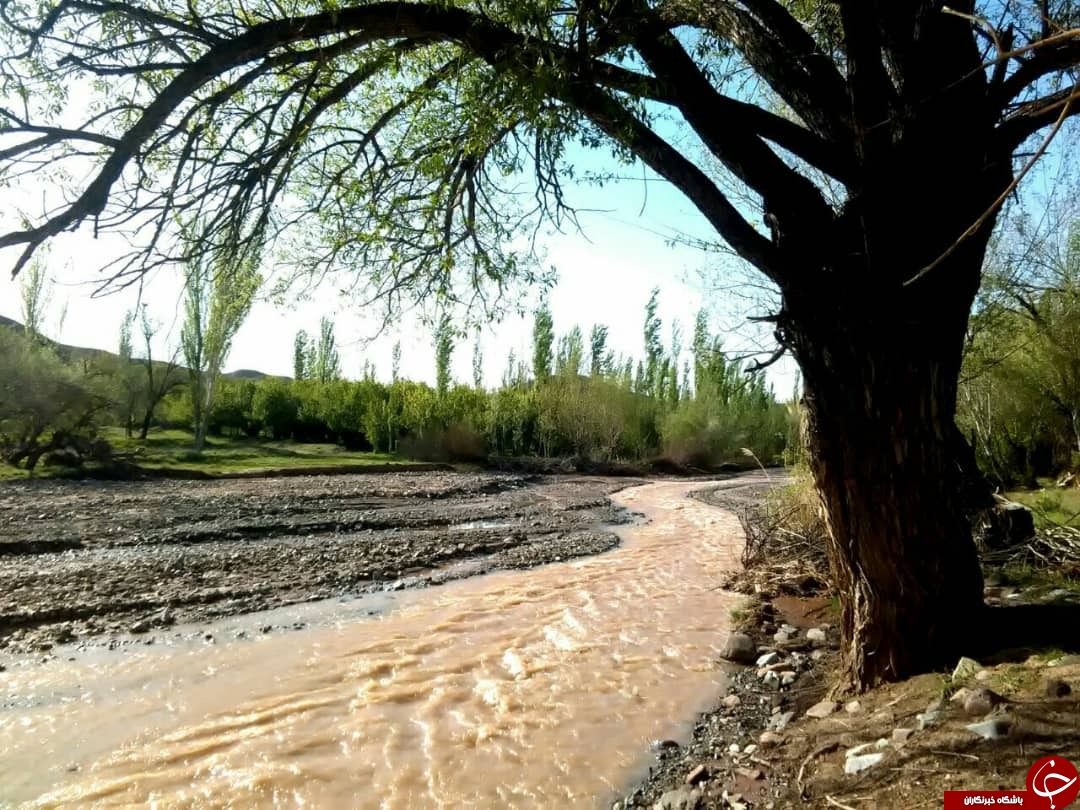 تصاویری از طبیعت زیبای بهار در روستای رودخانه رخ