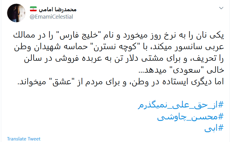 سکوت #محسن_چاوشی در برابر توهین همسر خواننده خارج&zwnj;نشین به امام علی (ع) شکست
