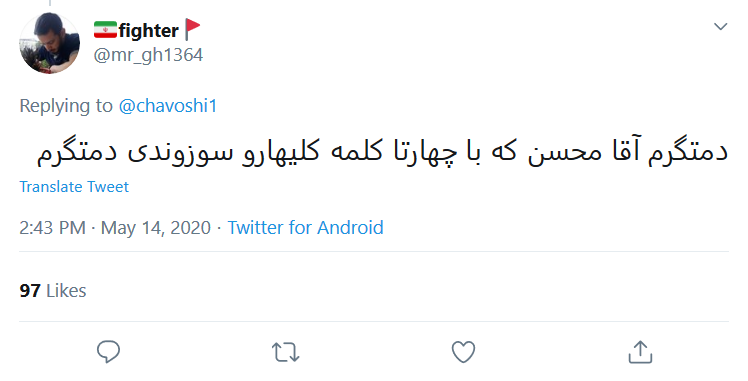 سکوت #محسن_چاوشی در برابر توهین همسر خواننده خارج&zwnj;نشین به امام علی (ع) شکست