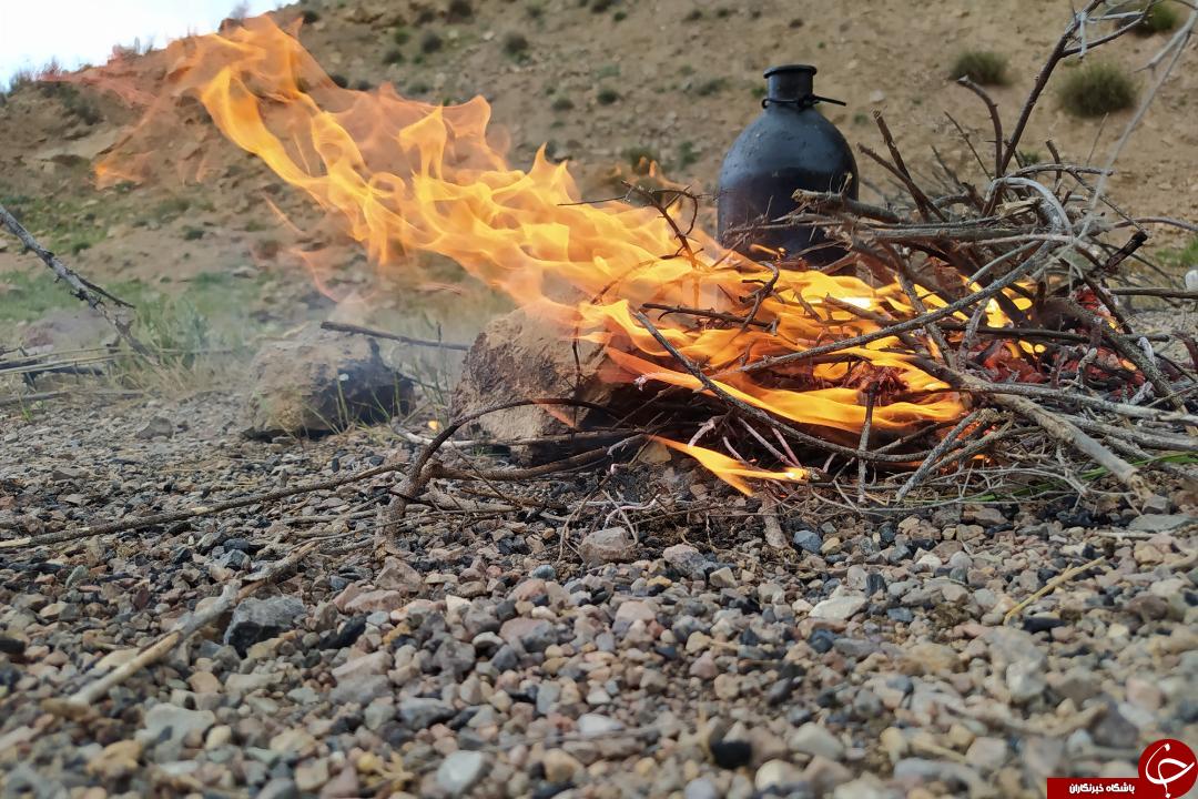 تصاویری از طبیعت بهاری در تربت حیدریه