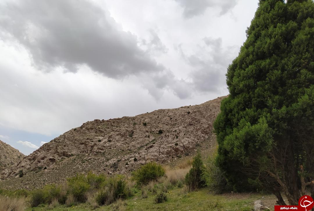 تصاویری از بهار