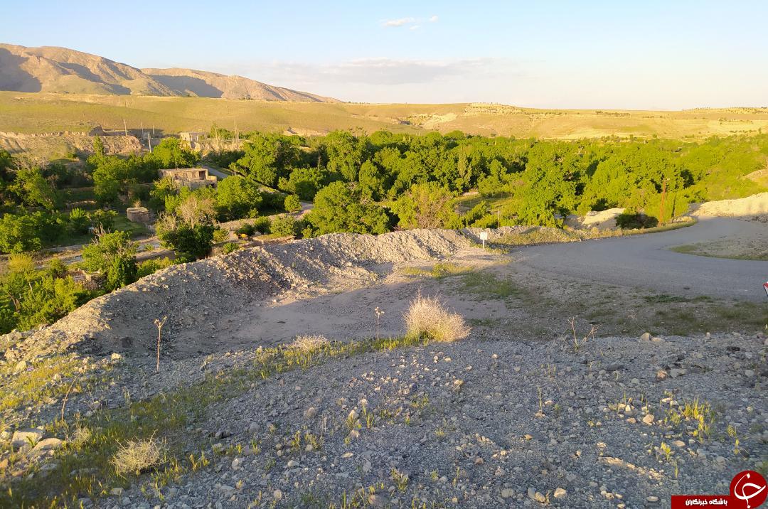 تصاویری از بهار