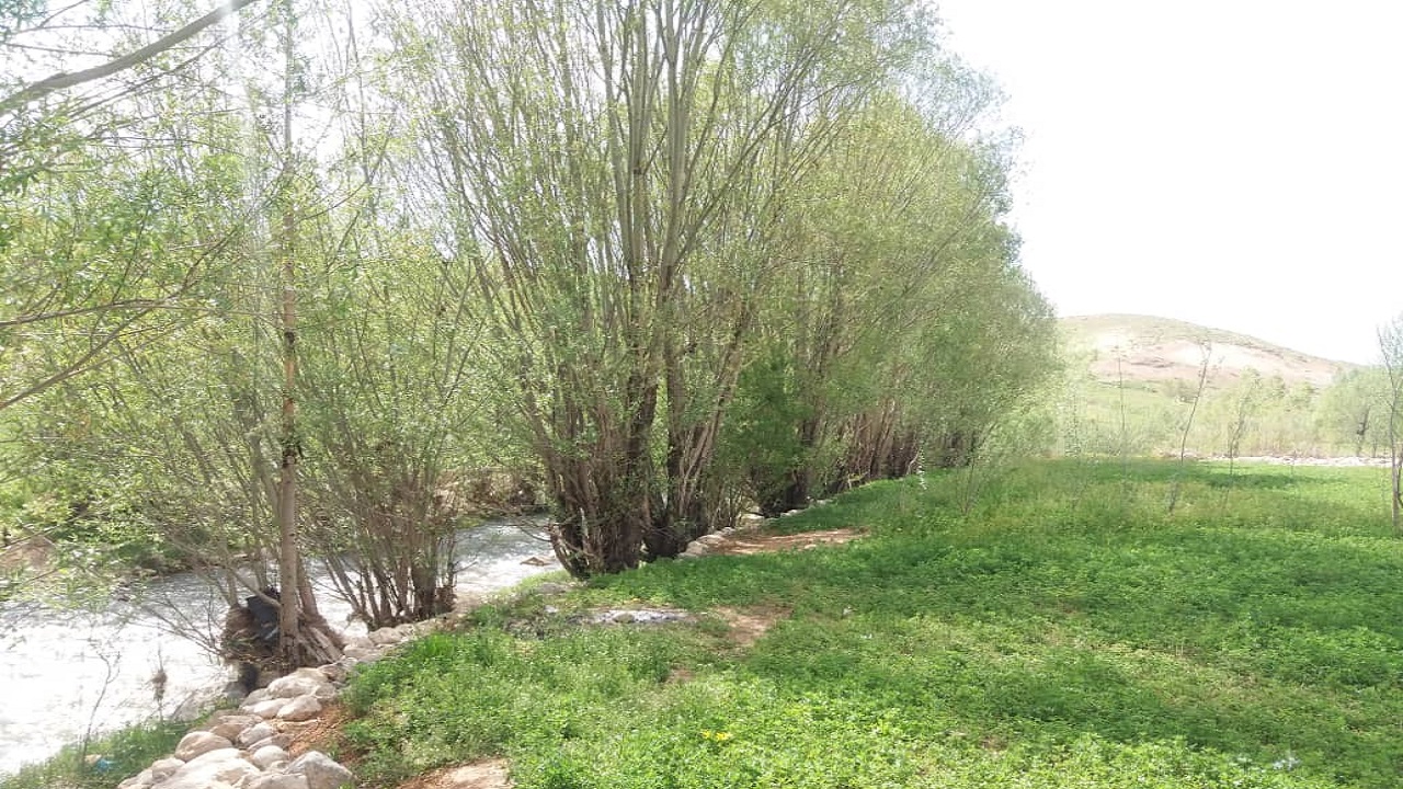 بهار در روستای نعل اشکنان در کوهرنگ