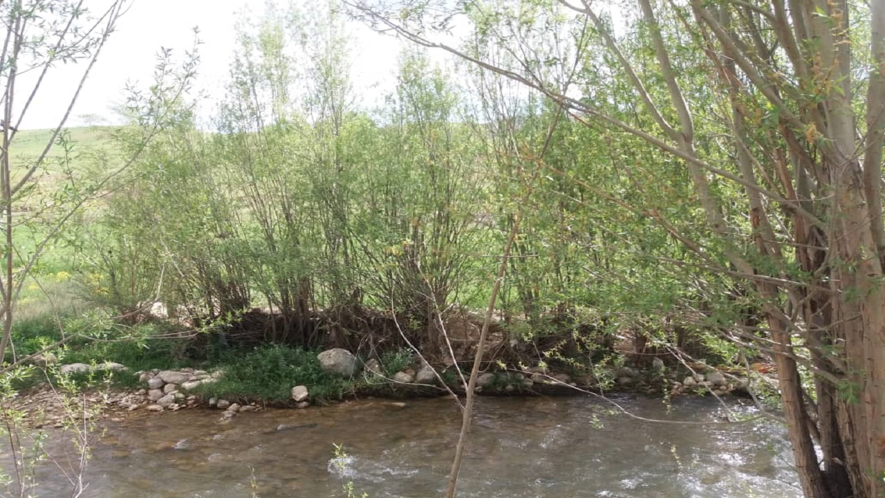 بهار در روستای نعل اشکنان در کوهرنگ