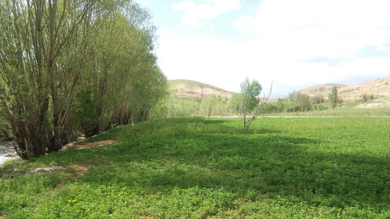 بهار در روستای نعل اشکنان در کوهرنگ