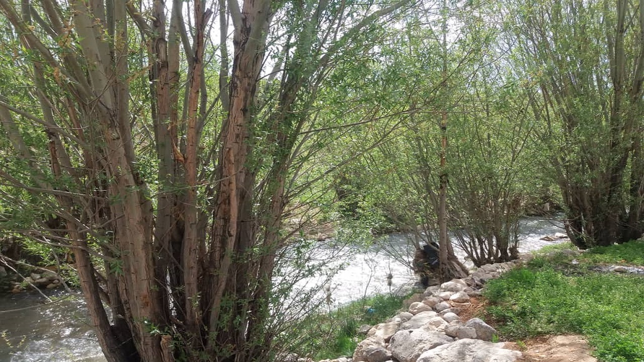 بهار در روستای نعل اشکنان در کوهرنگ