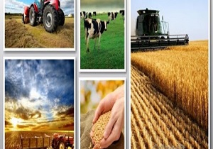 کشاورزان یزدی تسهیلات دریافت می‌کنند