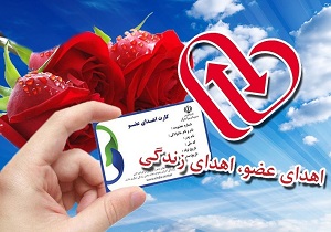 ضرورت نهادینه سازی فرهنگ اهدای عضو در جامعه/ اینجا زندگی می‌بخشند
