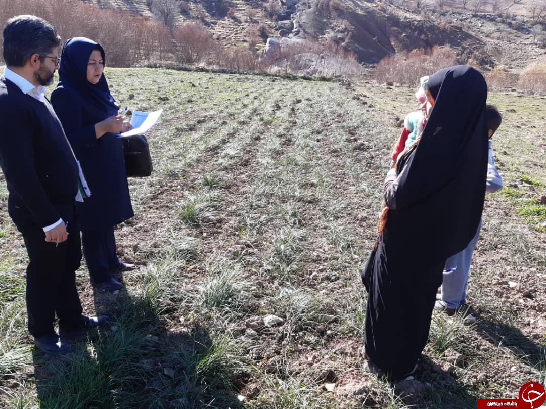 طلای اقتصاد کرمانشاه از دل خاک جوانه می زند