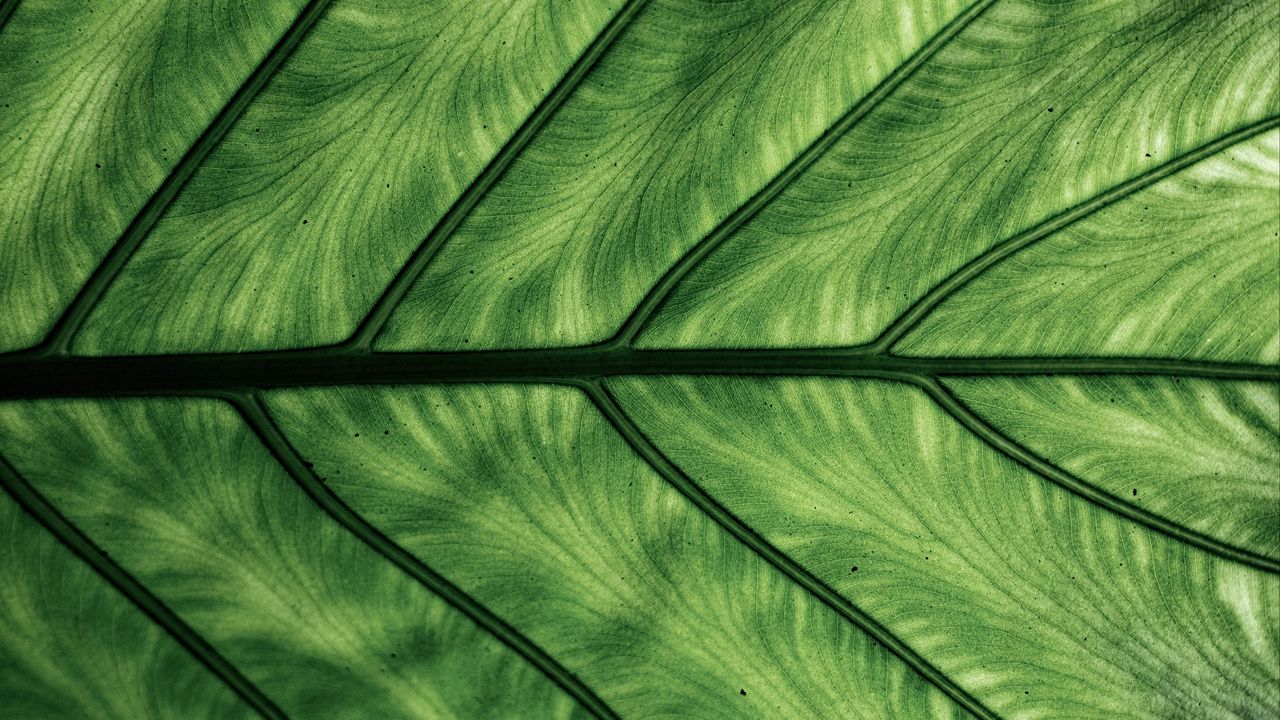 برترین تصاویر پس&zwnj;زمینه (۱۸ تیر)