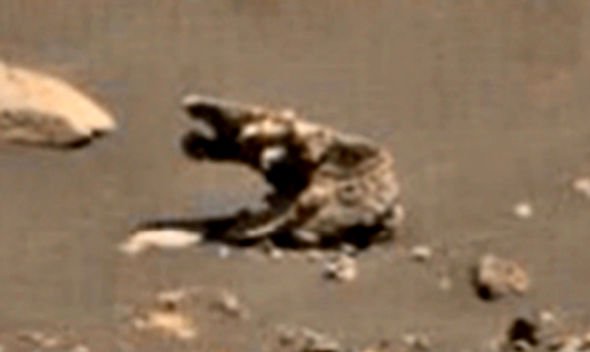 مریخ مریخ