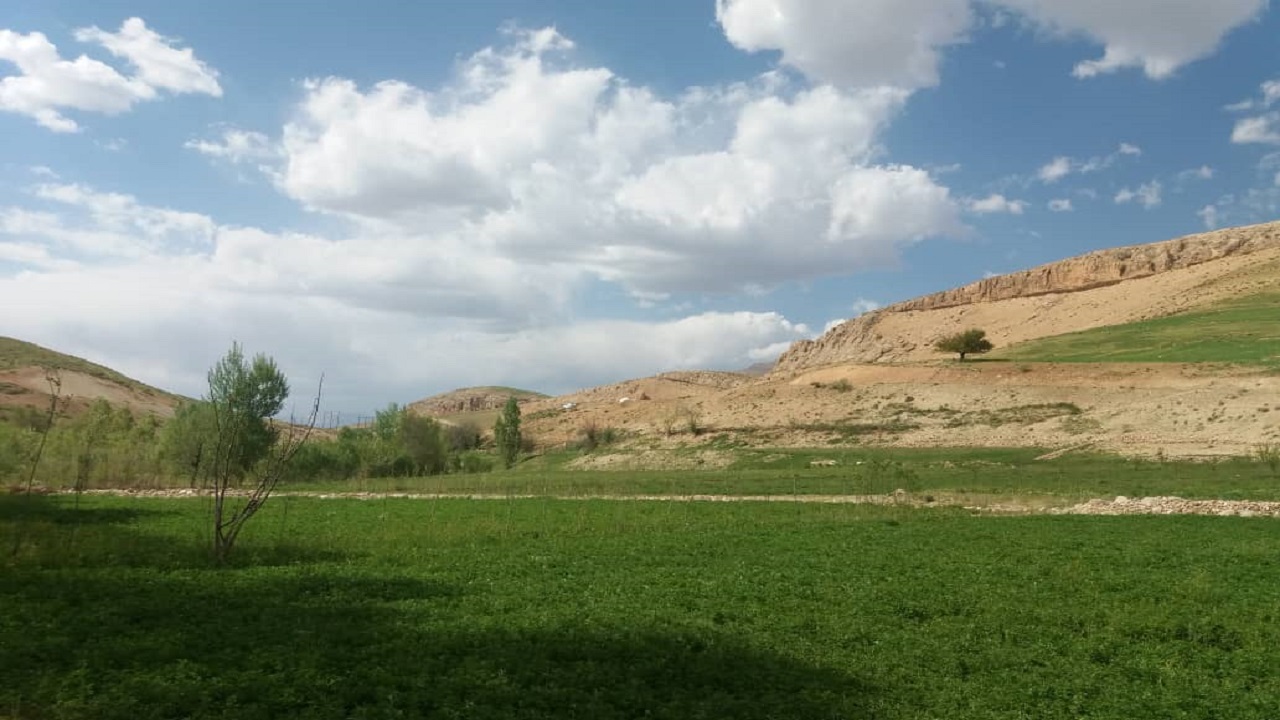 پیش بینی آسمانی صاف تا کمی ابری