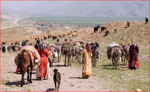 ۳ سال پس از زمستان یورت/ ۱۱ بستری جدید و ۹ ترخیص در بیمارستان&zwnj;های بابل/ بازداشت سرپرست ارشد یکی از سازمان&zwnj;های استان مرکزی