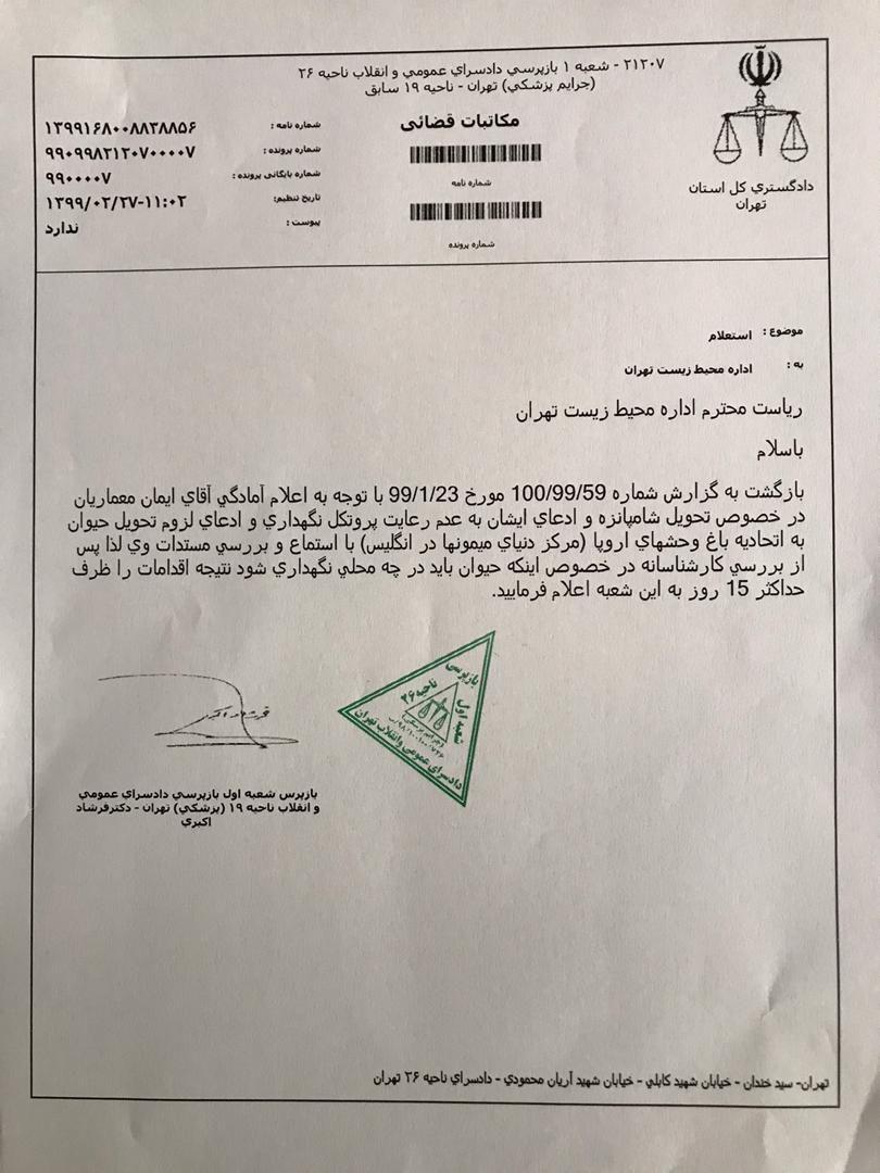 جزئیات دادگاه شامپانزه سه ساله مشخص شد