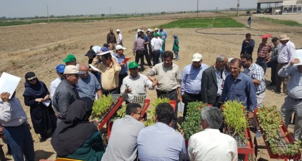 رشد ۲۹ درصدی دوره&zwnj;های آموزشی مهارتی ترویجی کشاورزی