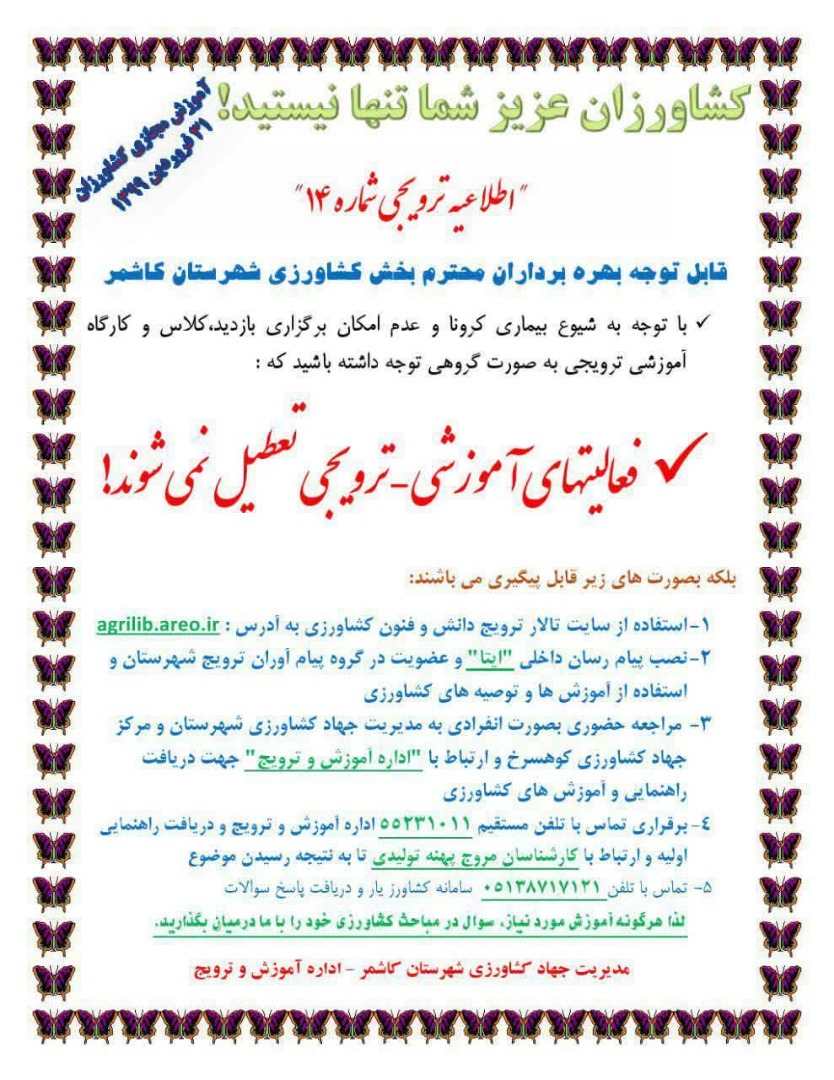 آموزش مجازی جهاد کشاورزی به بهره برداران در کاشمر
